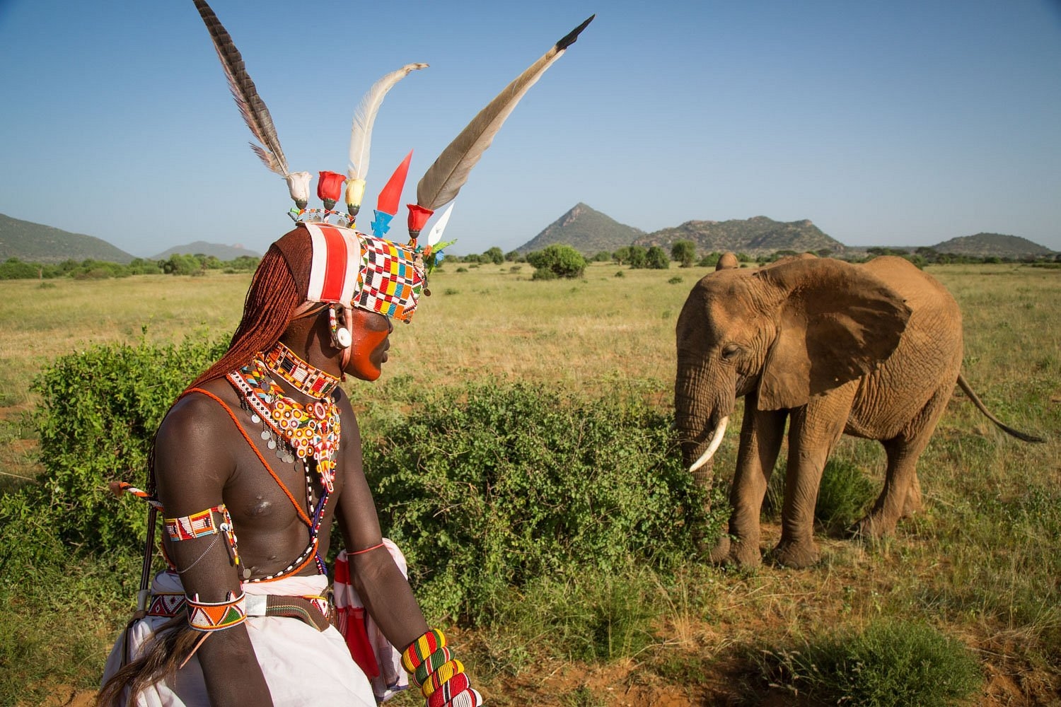 Samburu man facing an Elephant