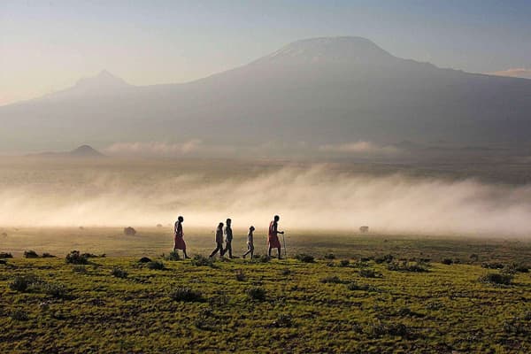 Walking Safari at Amboseli, with a close view of Mt Kilimanjaro