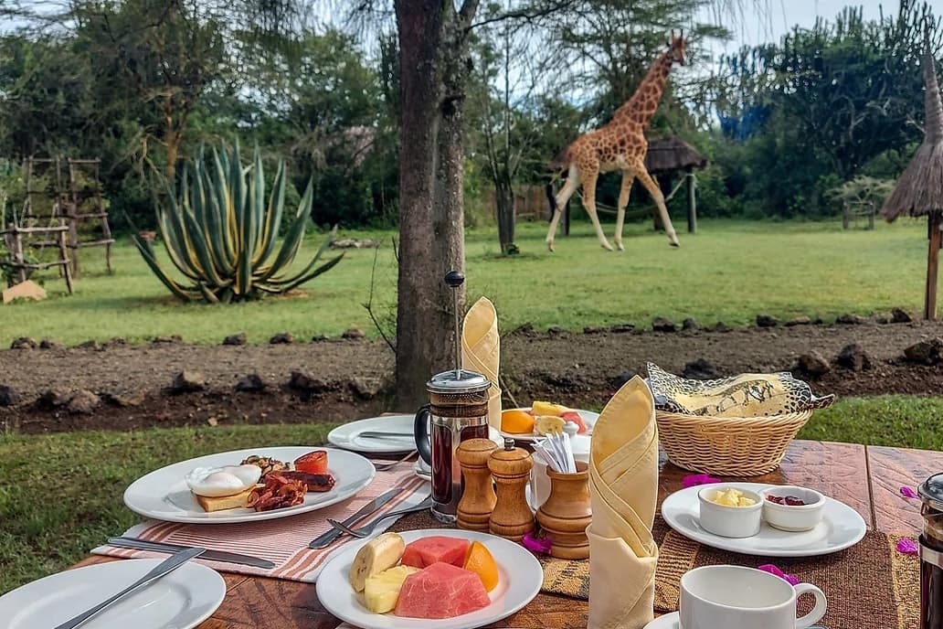 Giraffe walking by Mbweha Safari Camp, Lake Nakuru