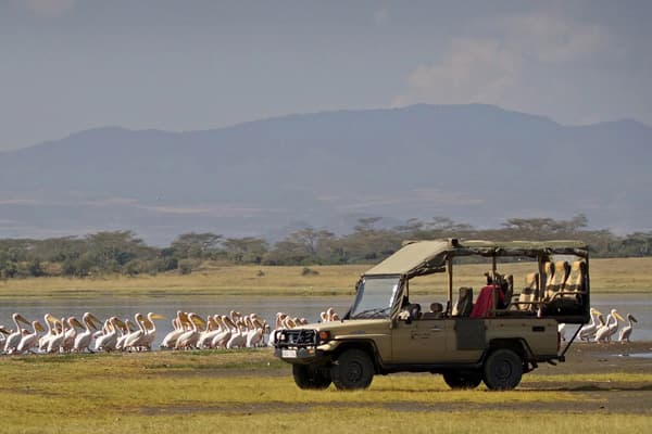 Tourists watching birdlife at Lake Nakuru