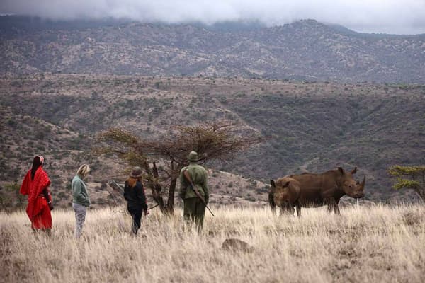 Tourists next to rhino at Lewa Conservancy