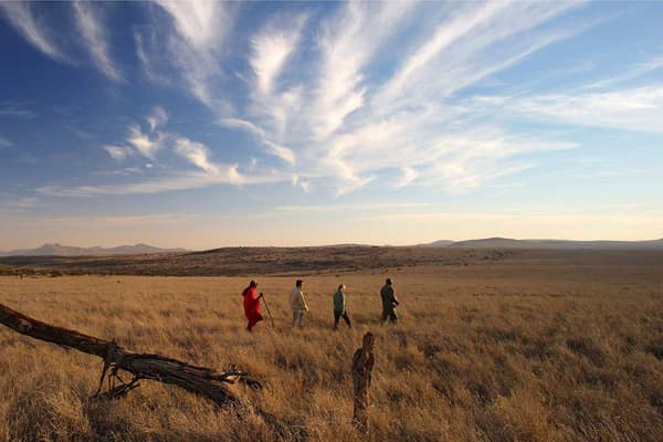 Tourists on a guided walking safari