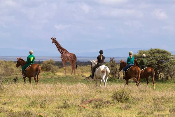 Tourists on a horseback safari