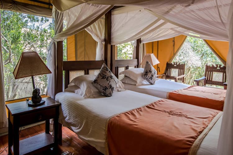 Luxury Tent at Ashnil Mara Camp, Maasai Mara