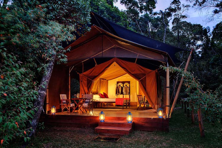 Luxury Tent at Elewana Elephant Pepper Camp, Maasai Mara