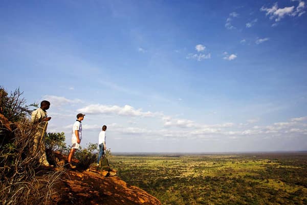 Tourists on a guided nature walk