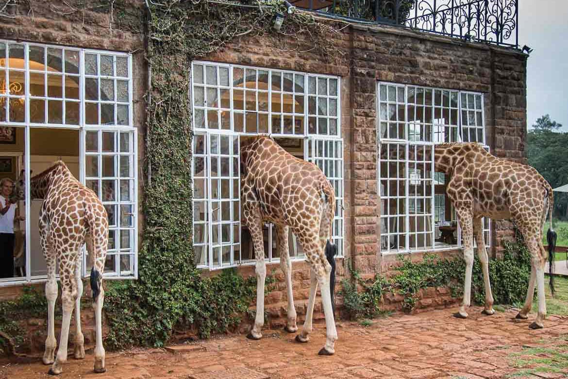 Giraffe Manor, Nairobi