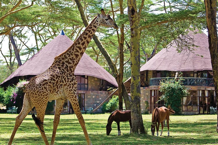 Lake Naivasha Sopa Resort