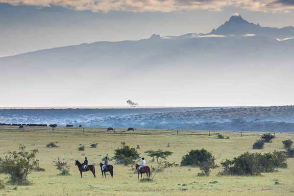 Tourists on a horseback safari