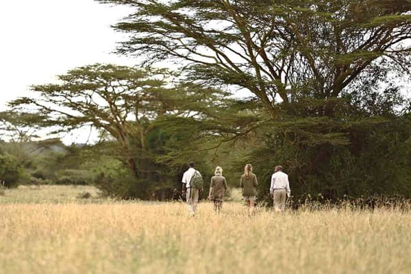 Tourists on a guided nature walk