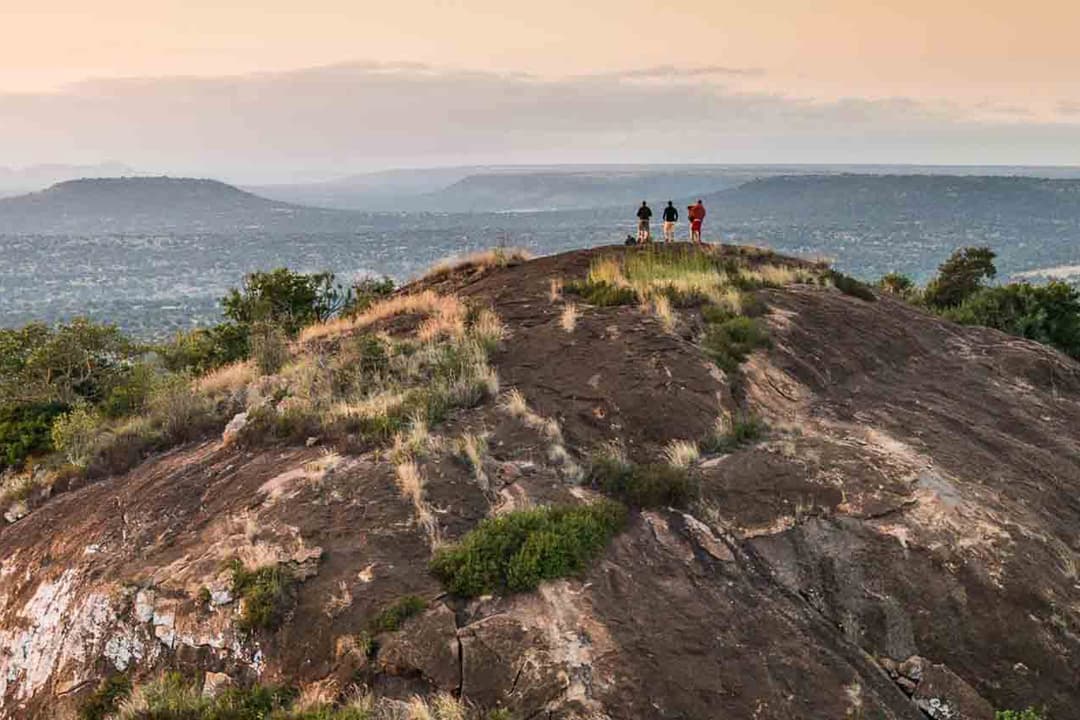 Tourists on a guided nature walks