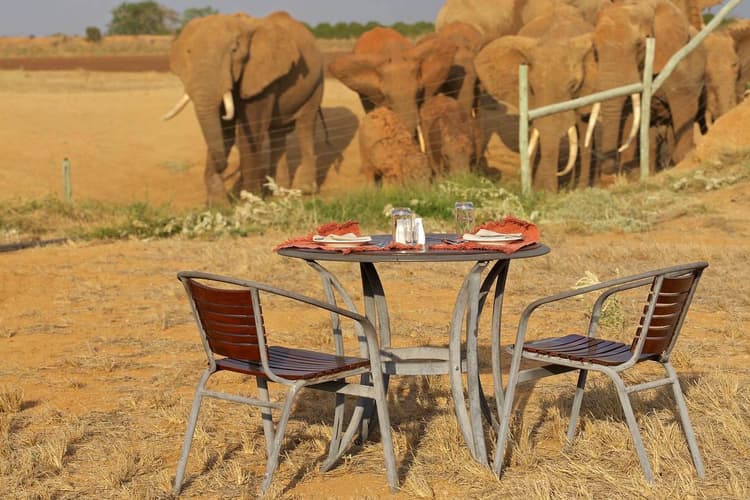 Afternoon meal next to an elephant herd, at Ashnil Aruba Lodge, Tsavo East National Park