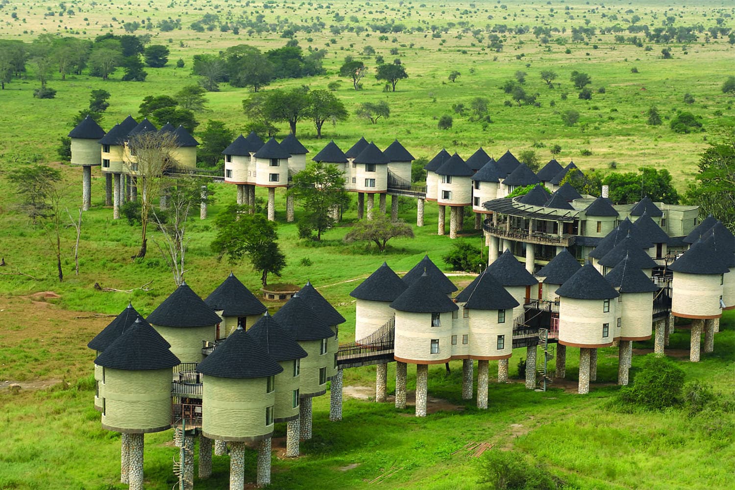 Guests enjoying close views of elephants at the Salt Lick Safari Lodge Waterhole