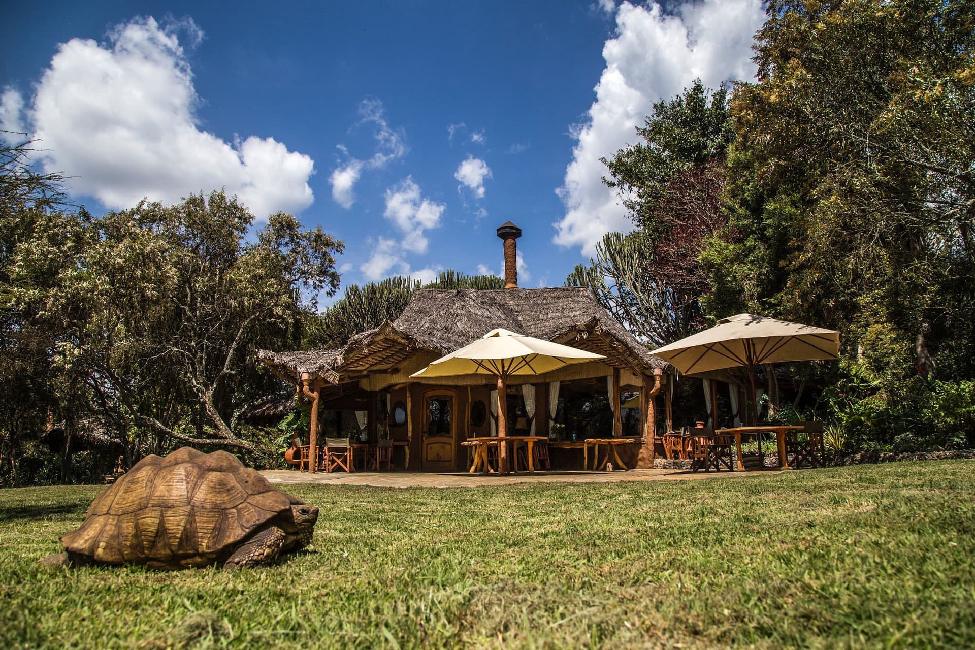 Chui Lodge, Naivasha