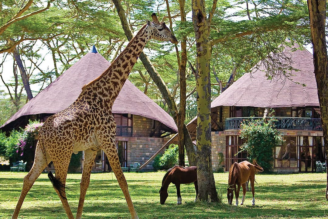 Lake Naivasha Sopa Lodge, Naivasha