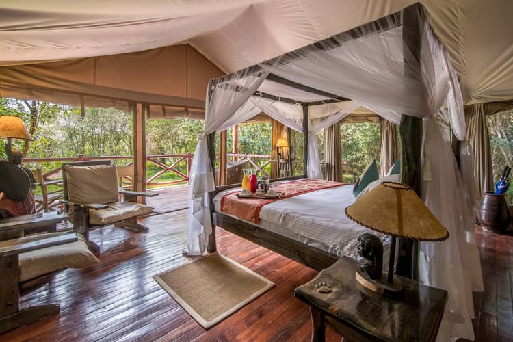 Ashnil Mara Camp, Maasai Mara