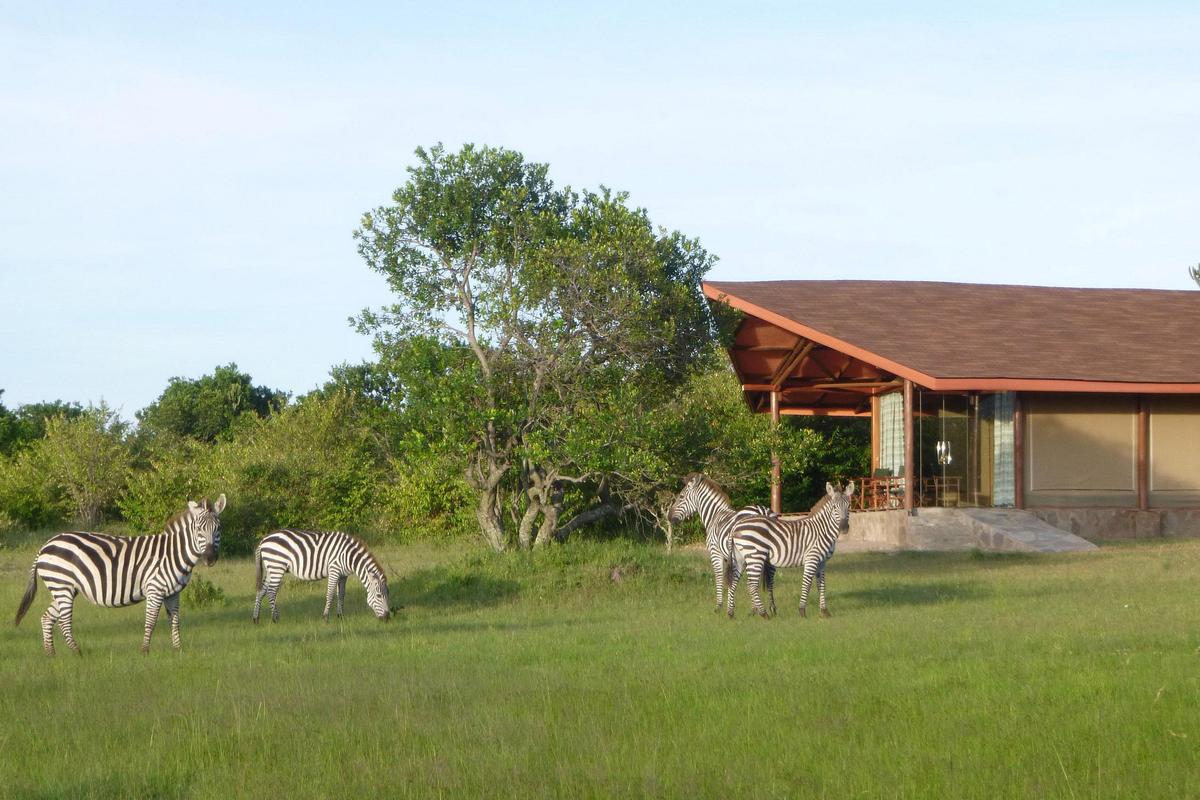 Simba Oryx Lodge, Maasai Mara