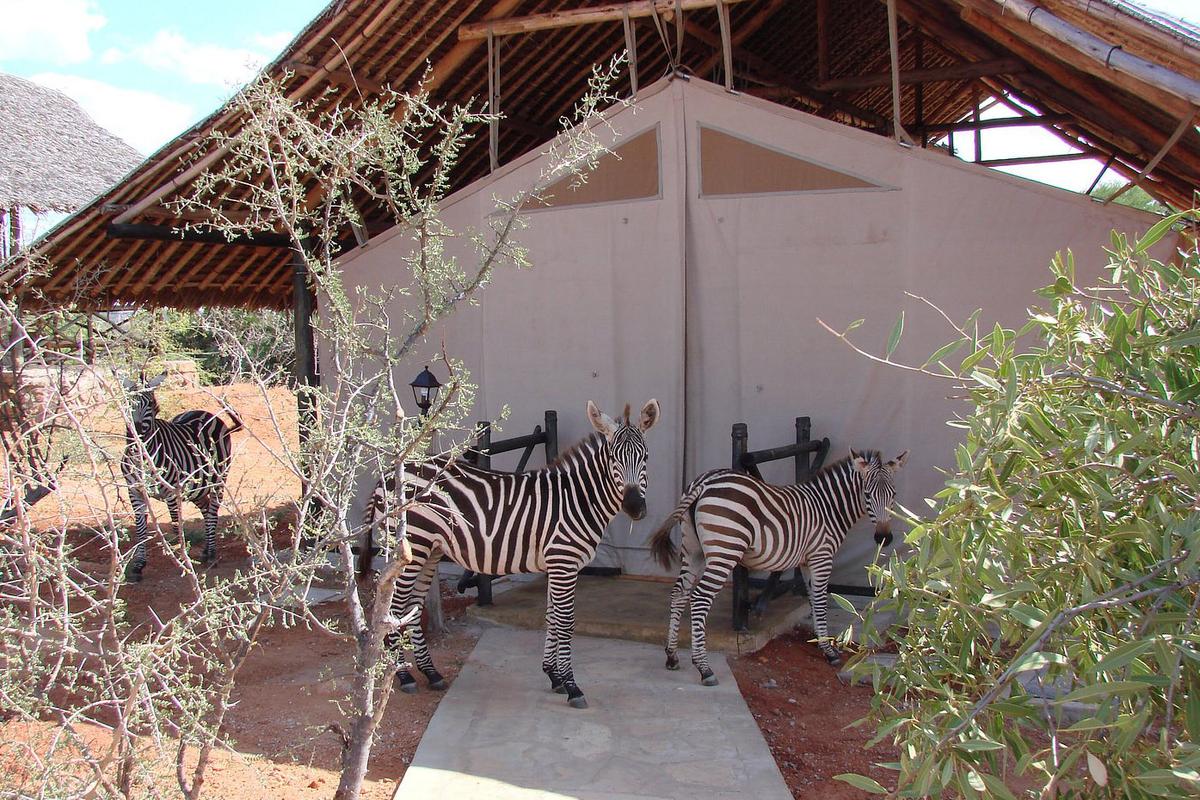 Man Eaters Lodge, Tsavo West National Park